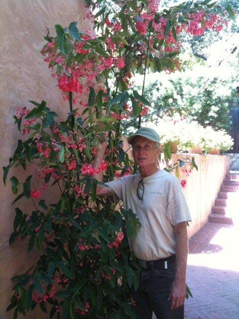 B. ‘Hazel's Front Porch’